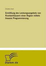 Ermittlung des Leistungsangebots von Krankenhäusern einer Region mittels linearer Programmierung