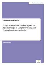 Entwicklung eines Prüfkonzeptes zur Bestimmung der Langzeitwirkung von Hydrophobierungsmitteln