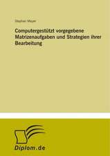 Computergestützt vorgegebene Matrizenaufgaben und Strategien ihrer Bearbeitung