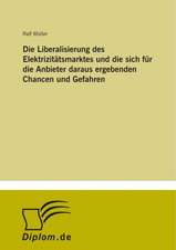 Die Liberalisierung des Elektrizitätsmarktes und die sich für die Anbieter daraus ergebenden Chancen und Gefahren