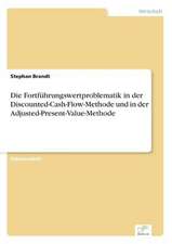 Die Fortführungswertproblematik in der Discounted-Cash-Flow-Methode und in der Adjusted-Present-Value-Methode