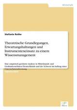 Theoretische Grundlegungen, Erwartungshaltungen und Instrumenteneinsatz zu einem Wissensmanagement