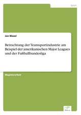 Betrachtung der Teamsportindustrie am Beispiel der amerikanischen Major Leagues und der Fußballbundesliga