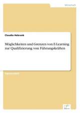 Möglichkeiten und Grenzen von E-Learning zur Qualifizierung von Führungskräften