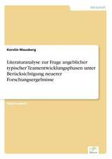 Literaturanalyse Zur Frage Angeblicher Typischer Teamentwicklungsphasen Unter Berucksichtigung Neuerer Forschungsergebnisse: Messung Des E-Business-Erfolges