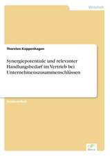 Synergiepotentiale Und Relevanter Handlungsbedarf Im Vertrieb Bei Unternehmenszusammenschlussen: Optionspreistheorie Zur Bewertung Von Investitionen Mit Einem Beispiel Aus Der Softwareentwicklung