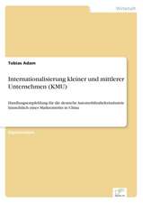 Internationalisierung Kleiner Und Mittlerer Unternehmen (Kmu)