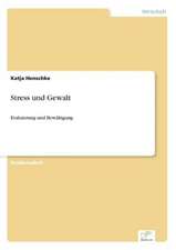 Stress Und Gewalt: Goodwill and Other Intangible Assets