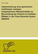 Implementierung Eines Geometrisch Nichtlinearen Isotropen Viskoplastischen Materialmodells Zur Beschreibung Des Portevin-Le Chatelier-Effektes in Das: Goodwill and Other Intangible Assets