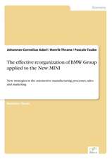 The Effective Reorganization of BMW Group Applied to the New Mini: Goodwill and Other Intangible Assets