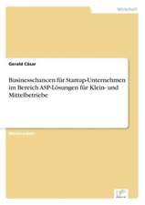 Businesschancen Fur Startup-Unternehmen Im Bereich ASP-Losungen Fur Klein- Und Mittelbetriebe