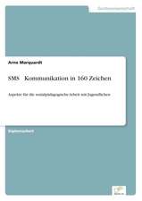 SMS Kommunikation in 160 Zeichen: The Marketing of Banking Services in China