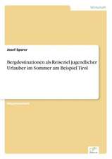 Bergdestinationen ALS Reiseziel Jugendlicher Urlauber Im Sommer Am Beispiel Tirol: Chancen, Risiken Und Absicherungsmoglichkeiten Fur Osterreichische Exporteure