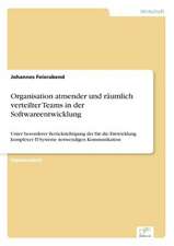 Organisation Atmender Und Raumlich Verteilter Teams in Der Softwareentwicklung: 2002