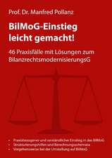 BilMoG-Einstieg leicht gemacht!