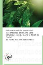 Les Insectes du chêne vert (Quercus ilex L.) dans la forêt de Tafat