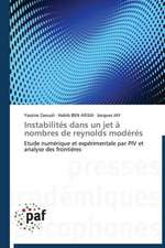 Instabilités dans un jet à nombres de reynolds modérés