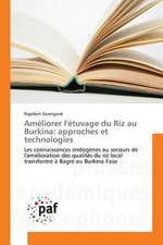 Améliorer l'étuvage du Riz au Burkina: approches et technologies