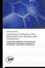 Contrôle et Évaluation Non Destructifs par ultrasons des composites