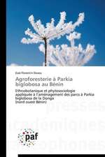 Agroforesterie à Parkia biglobosa au Bénin