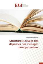 Structures Sociales Des Depenses Des Menages Monoparentaux