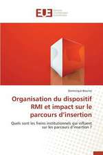 Organisation Du Dispositif RMI Et Impact Sur Le Parcours D'Insertion: Influences En Peril