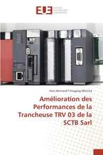 Amelioration Des Performances de La Trancheuse Trv 03 de La Sctb Sarl: 2000 Sur La Performance Financiere