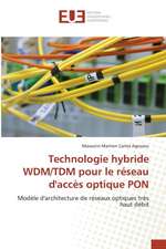 Technologie Hybride Wdm/Tdm Pour Le Reseau D'Acces Optique Pon