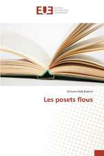 Les Posets Flous