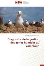 Diagnostic de La Gestion Des Zones Humides Au Cameroun: Renaissance Artistique D'Un Art Traditionnel