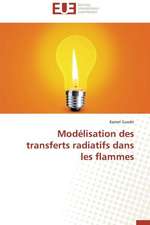 Modelisation Des Transferts Radiatifs Dans Les Flammes: Conception D'Un Systeme de Devraquage