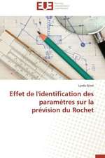 Effet de L'Identification Des Parametres Sur La Prevision Du Rochet: Analyse de La Rentabilite Et Du Risque