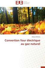 Convertion Four Electrique Au Gaz Naturel: Analyse de La Rentabilite Et Du Risque