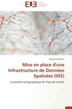 Mise En Place D'Une Infrastructure de Donnees Spatiales (Ids): La Prise En Charge Des Victimes D'Accidents Collectifs