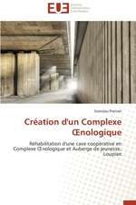 Creation D'Un Complexe Nologique: Agregat de Concepts Existants Ou Emergence D'Un Genre Nouveau ?