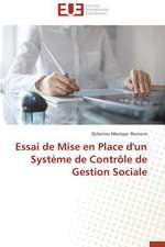 Essai de Mise En Place D'Un Systeme de Controle de Gestion Sociale: Methodologie D'Amelioration Du Controle Interne Des Foncieres