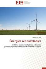 Energies Renouvelables: Cas de La Savonnerie Nosa