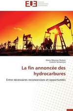 La Fin Annoncee Des Hydrocarbures: Cas de La Savonnerie Nosa