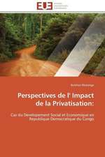 Perspectives de L' Impact de La Privatisation