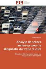 Analyse de Scenes Aeriennes Pour Le Diagnostic Du Trafic Routier: Une Unite Ethnique Et Un Patrimoine Agonisant