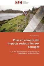 Prise En Compte Des Impacts Sociaux Lies Aux Barrages: Micro/Nano Manipulation