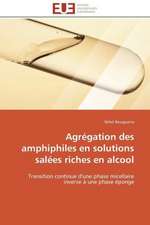 Agregation Des Amphiphiles En Solutions Salees Riches En Alcool: Filmer L'Imaginaire