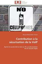 Contribution a la Securisation de La Voip: Mecanismes D'Action D'Additifs Fluores