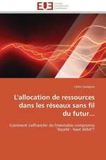 L'Allocation de Ressources Dans Les Reseaux Sans Fil Du Futur...: Levier D'Un Management Moderne