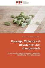 Veuvage, Violences Et Resistances Aux Changements: Comment Expliciter Les Besoins Des Apprenants?