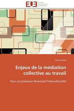 Enjeux de La Mediation Collective Au Travail