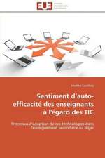 Sentiment D Auto-Efficacite Des Enseignants A L'Egard Des Tic: Analyse Des Actions Du Cilss Au Burkina Faso