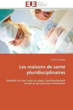 Les Maisons de Sante Pluridisciplinaires: Un Roman Atypique?