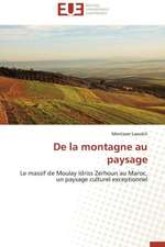 de La Montagne Au Paysage: Un Regard Geometrique