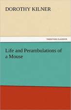 Life and Perambulations of a Mouse